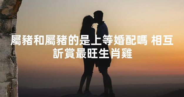 屬豬和屬豬的是上等婚配嗎 相互訢賞最旺生肖雞